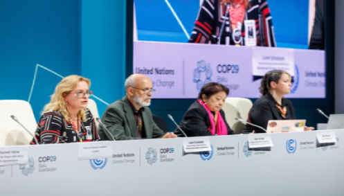 COP29