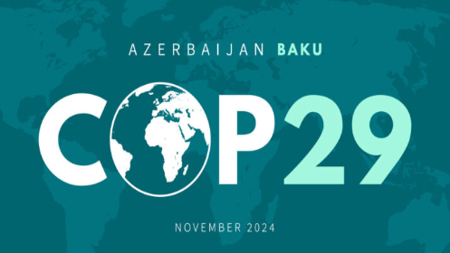 COP29